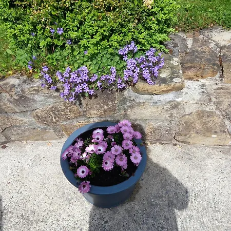 Carraig Rua-2