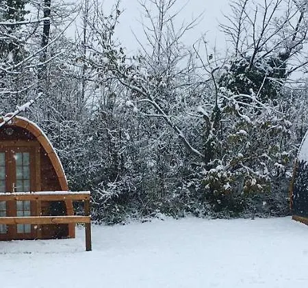 Glamping At Treegrove-2